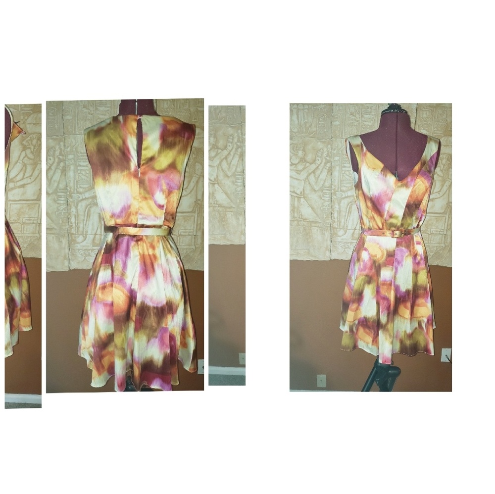 Roullette Muti color swing dress
